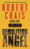 Demolition Angel: a Novel