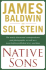 Native Sons: a Friendship That Created One of the Greatest Works of the 20th Century: Notes of a Native Son