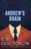 Andrew's Brain: B Format