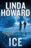 Ice: a Novel