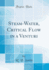Steam-Water, Critical Flow in a Venturi (Classic Reprint)