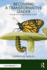 Becoming a Transformative Leader: a Guide to Creating Equitable Schools