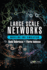 Large Scale Networks: Modeling and Simulation