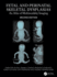 Fetal and Perinatal Skeletal Dysplasias an Atlas of Multimodality Imaging 2ed (Hb 2024)