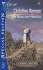 The Reluctant Princess (Viking Brides) (Silhouette Special Edition No. 1537)