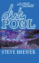 Dirty Pool: a Bubba Mabry Mystery