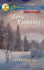 Zero Visibility (Love Inspired Suspense)