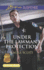 Under the Lawman's Protection