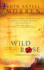 Wild Rose (Wild Rose Series #1) (Steeple Hill Women's Fiction #15)