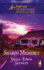 Small Town Secrets (Steeple Hill Love Inspired Suspense #22)