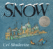 Snow: (Caldecott Honor Book)