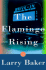 The Flamingo Rising