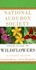 National Audubon Society Field Guide to North American Wildflowers--E: Eastern Region-Revised Edition