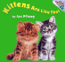 Kittens Are Like That (a Random House Pictureboard)