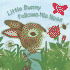 Little Bunny Follows His Nose (a Golden Fragrance Book)