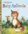 Baby Animals (Little Golden Book)