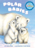 Polar Babies