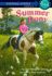 Summer Pony (a Stepping Stone Book)