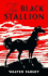 The Black Stallion