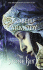 The Stone Key: the Obernewtyn Chronicles 6