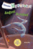August Acrobat Calendar Mysteries #008