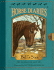 Horse Diaries #2: Bell's Star