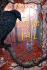 Come Fall