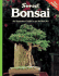 Bonsai