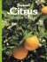 Citrus