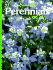 Perennials