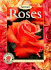 Roses: Placing Roses, Planting & Care, the Best Varieties