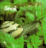 Snail (Stopwatch Books)