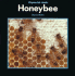 Honeybee (Stopwatch)