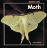 Moth (Stopwatch Books)