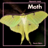 The Moth