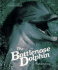 The Bottlenose Dolphin (Remarkable Animals)