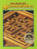 Mathematics: the Path to Math Success!