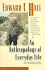 An Anthropology of Everyday Life