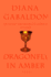 Dragonfly in Amber
