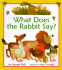 What Does the Rabbit Say?