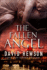 The Fallen Angel (Nic Costa)