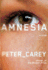 Amnesia: a Novel