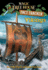 Vikings: a Nonfiction Companion to Magic Tree House #15: Viking Ships at Sunrise (Magic Tree House Fact Tracker)