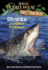 Sharks and Other Predators: a Nonfiction Companion to Magic Tree House Merlin Mission #25: Shadow of the Shark (Magic Tree House Fact Tracker)