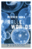 Parallel Worlds: a Journey Through Creation, Higher Dimensions, and the Future of the Cosmos