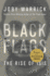 Black Flags (Pulitzer Prize Winner): the Rise of Isis