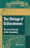 The Biology of Echinostomes