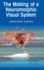 The Making of a Neuromorphic Visual System