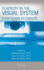 Plasticity in the Visual System: From Genes to Circuits