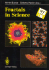 Fractals in Science-an Interdisciplinary Approach